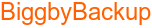 BiggbyBackup